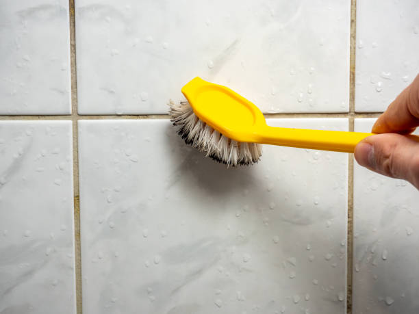Best Post-Remediation Services in Berryville, TX