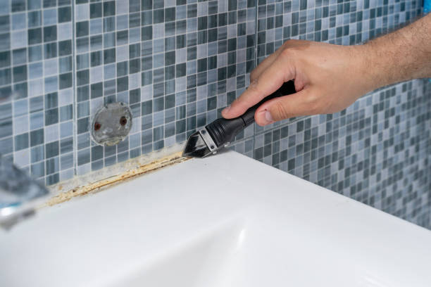 Best White Mold Remediation in Berryville, TX