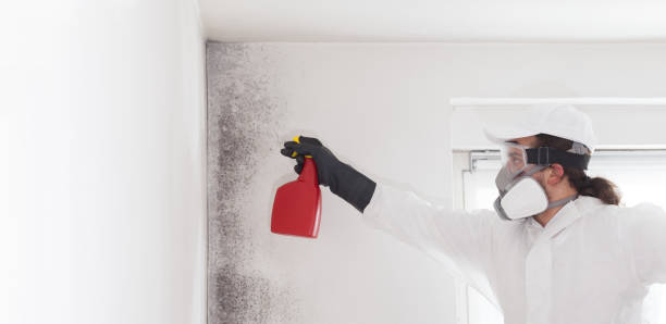 Best HVAC Mold Remediation in Berryville, TX